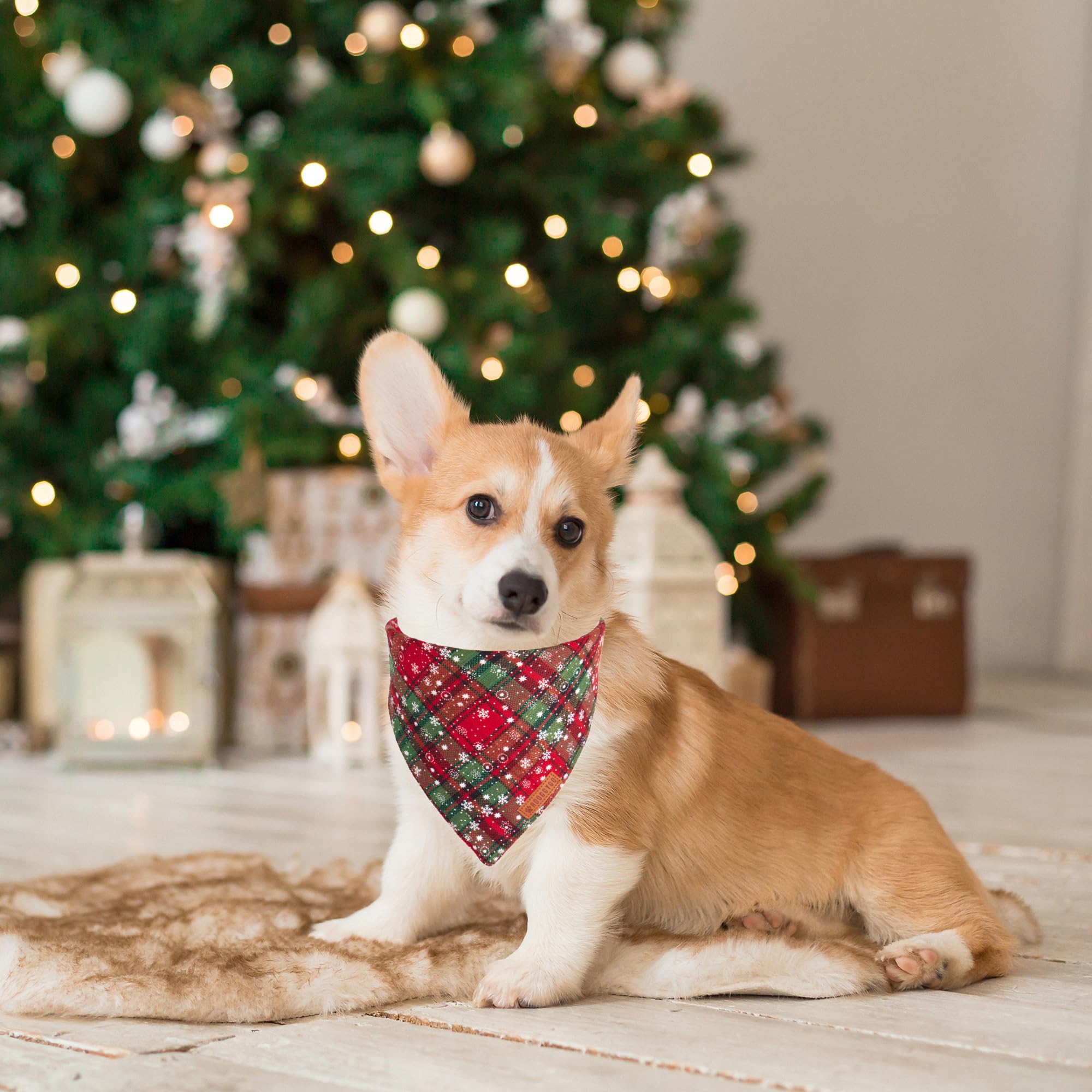 ADOGGYGO Bandana perro dos capas tela suave y duradera para uso diario.