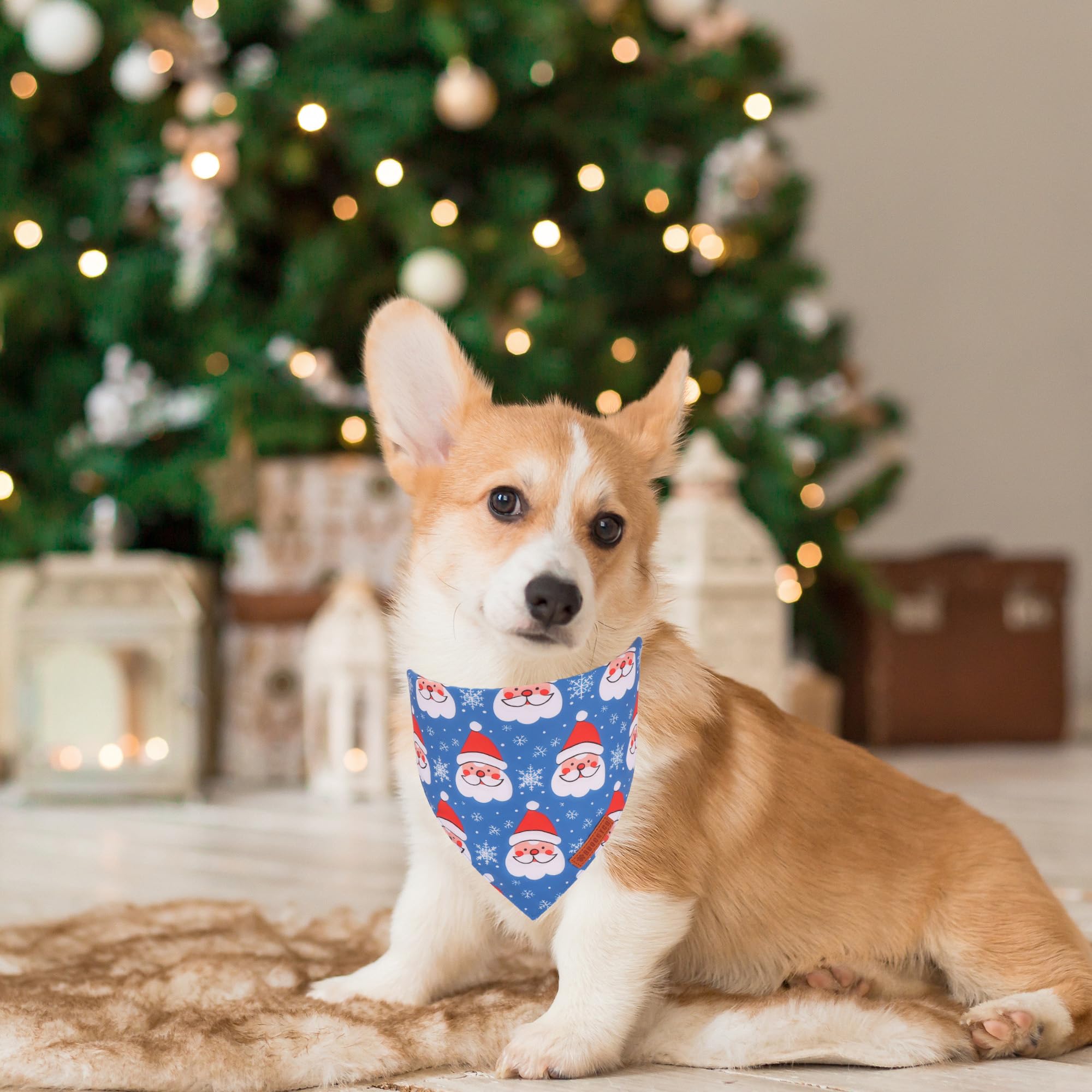 ADOGGYGO bandana navideña para perros con muñeco de nieve, perfecta para paseos invernales.