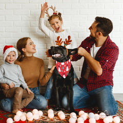 ADOGGYGO bandana navidad perro muñeco nieve, añade encanto en paseos
