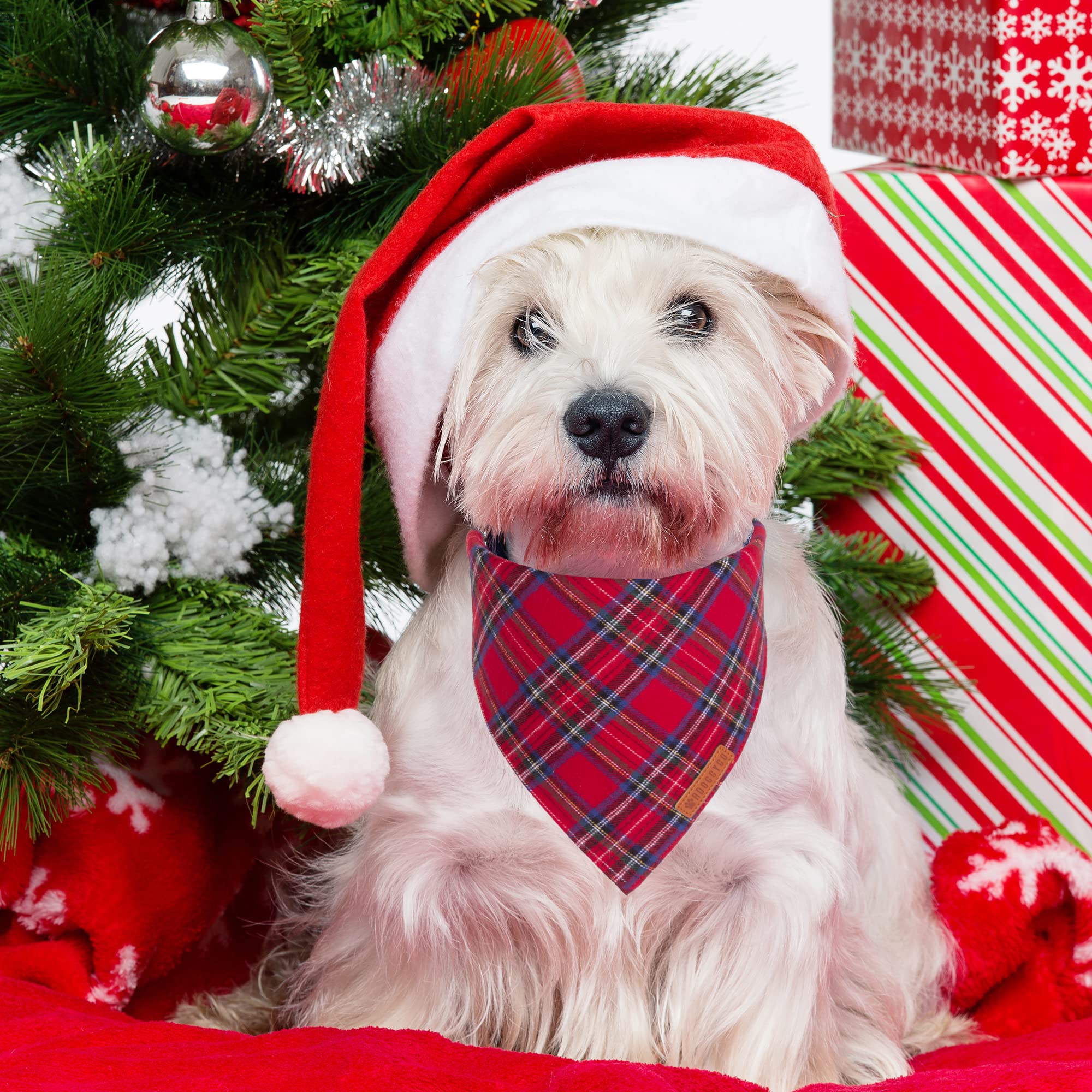 Pañuelo navideño ADOGGYGO para perro verde con cuadros, moda festiva.