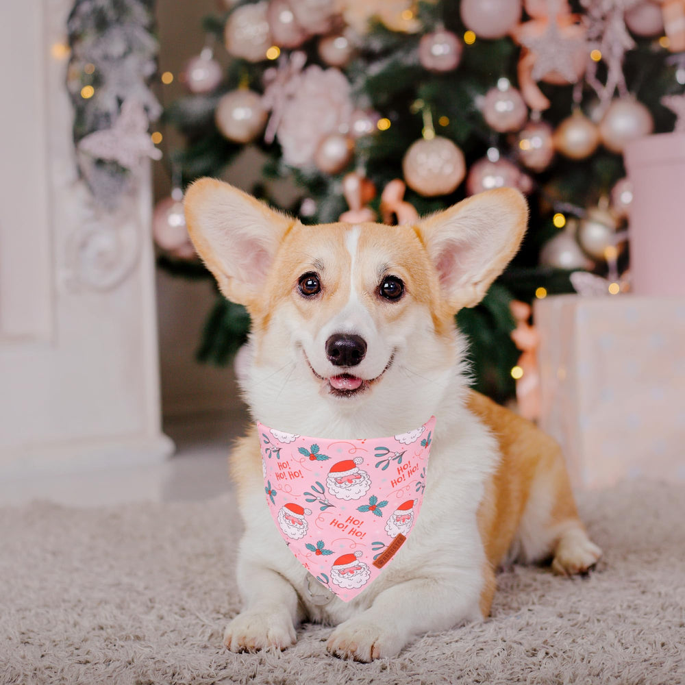 Bandana navidad rosa ADOGGYGO con árbol, añade estilo festivo a tu perro.