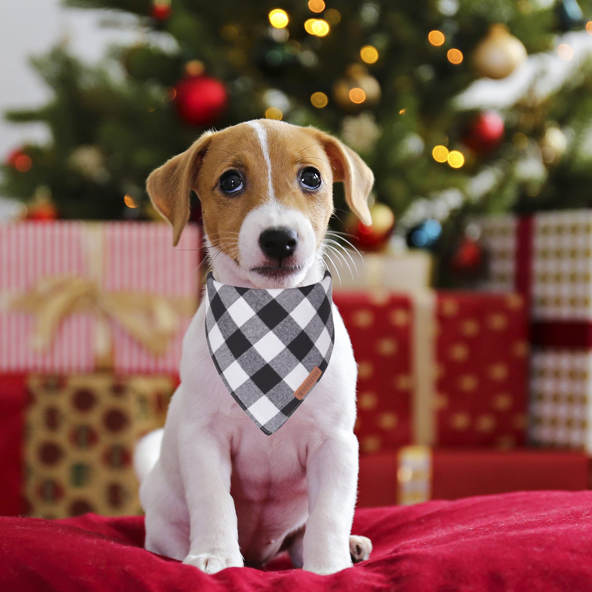 ADOGGYGO tamaño pequeño, bandana de algodón suave para cuello cómodo.