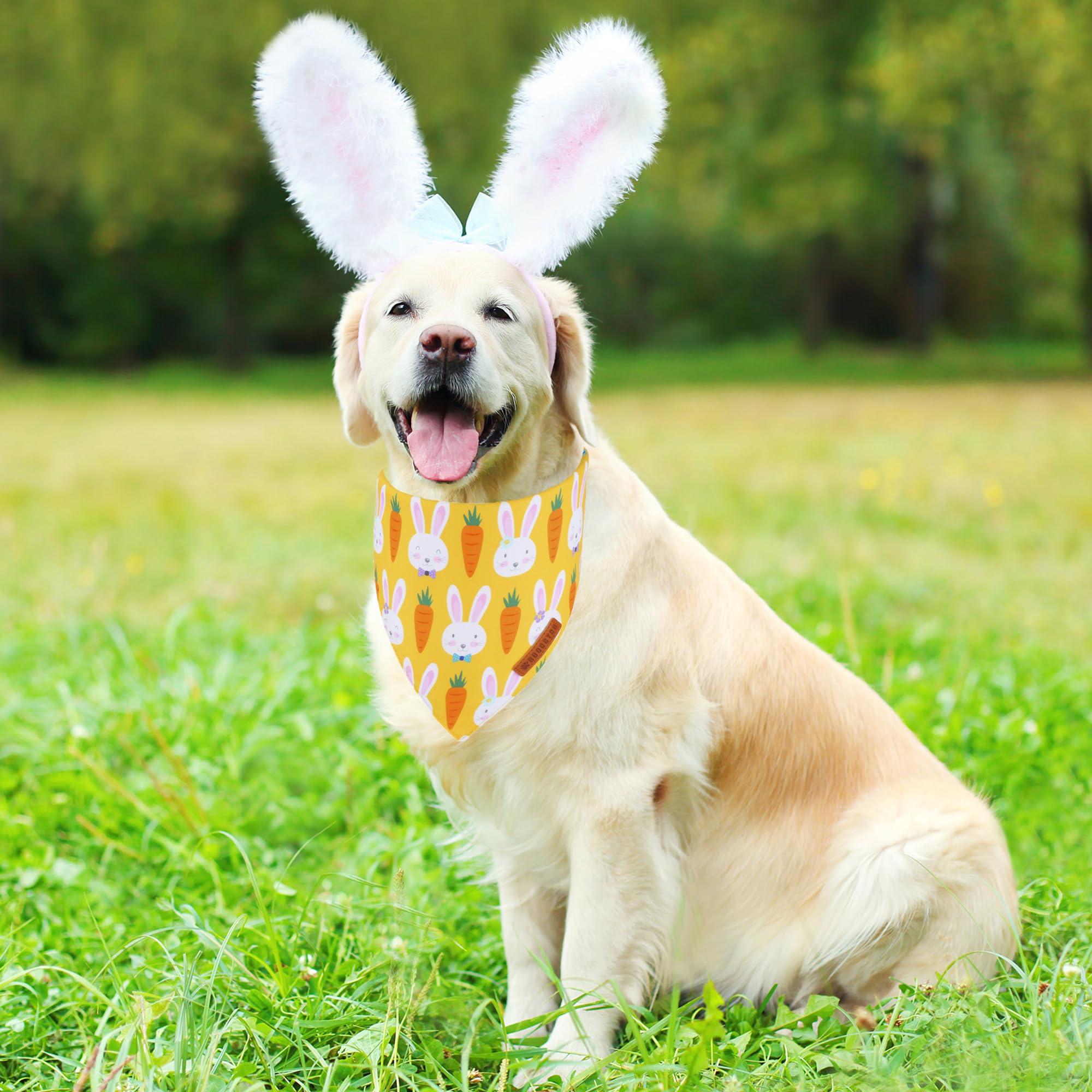 Bandana ADOGGYGO Pascua con huevos brillantes, ideal para sesiones.