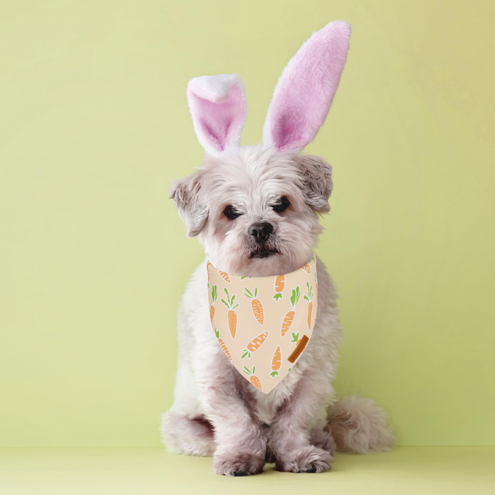 ADOGGYGO Bandana de Pascua naranja con zanahoria, perfecta para paseos coloridos.
