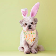 ADOGGYGO Bandana de Pascua naranja con zanahoria, perfecta para paseos coloridos.