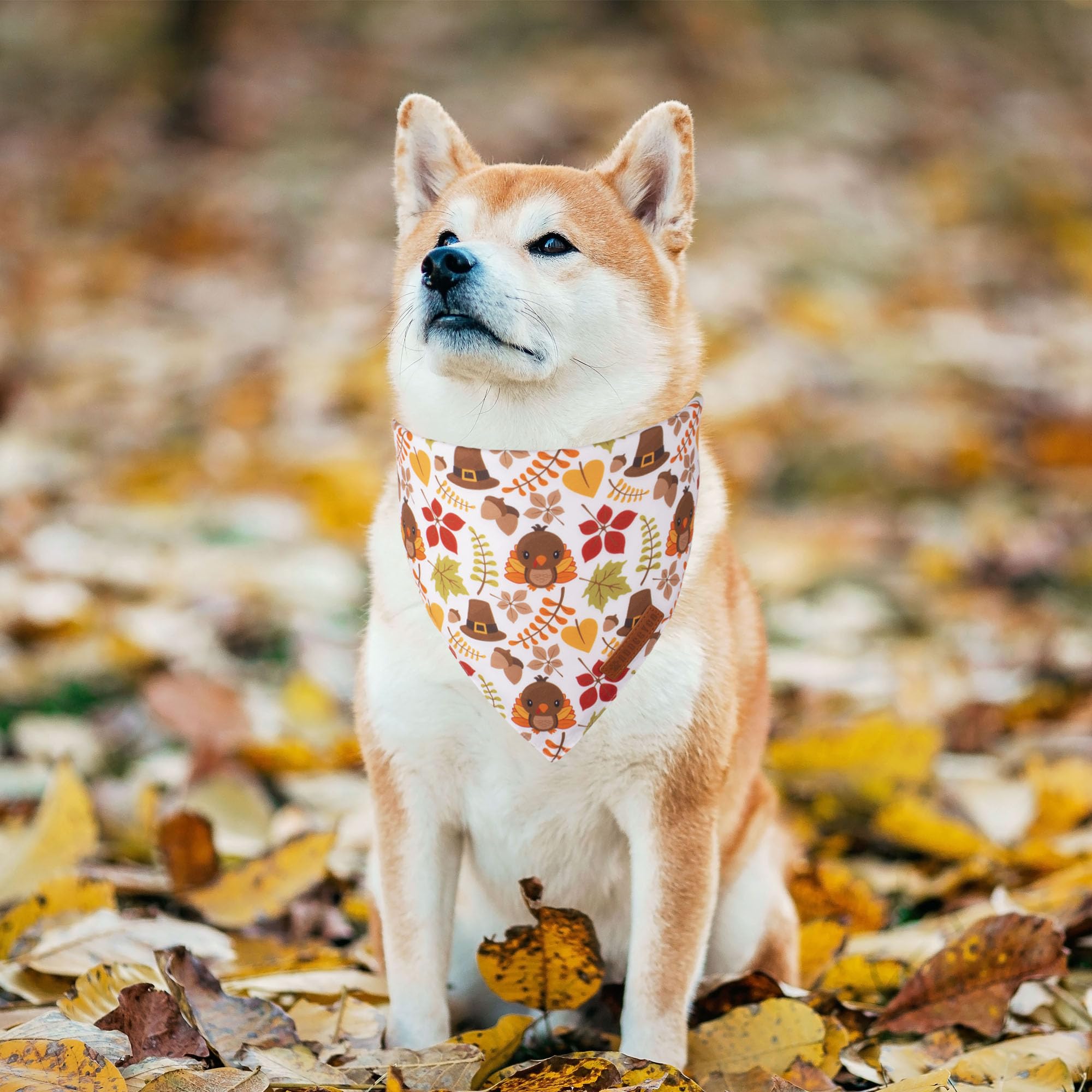 ADOGGYGO Bandana patrón hojas, ideal para sesiones de otoño