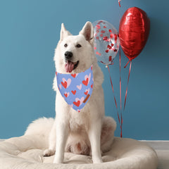 Bandana ADOGGYGO con ajuste de cuello, cómodo y seguro para perros medianos y grandes