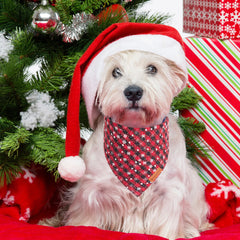 Copos de nieve en bandana ADOGGYGO, perfecta para sesiones de fotos navideñas.