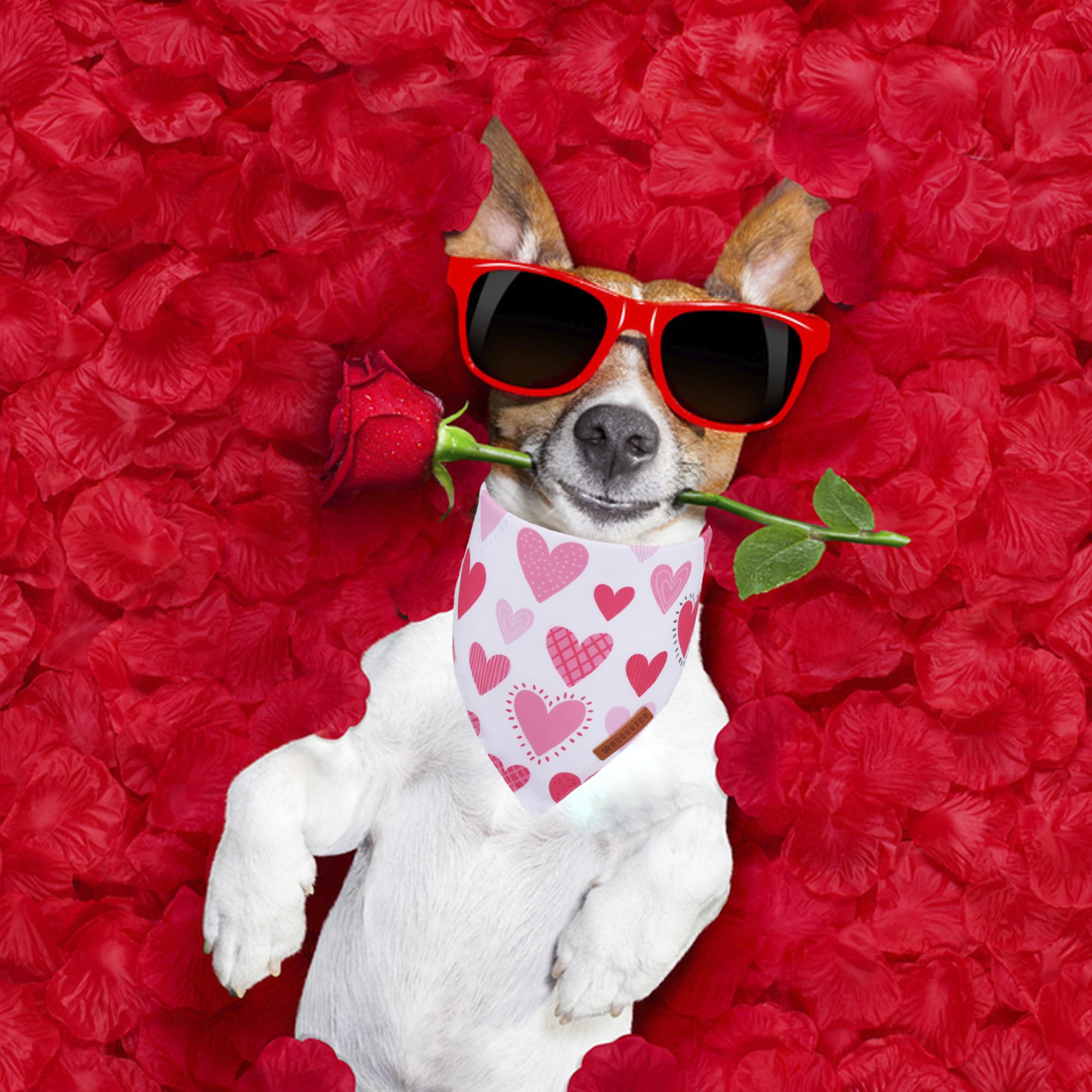 Bandana ADOGGYGO para perro, costuras duraderas y tacto suave.