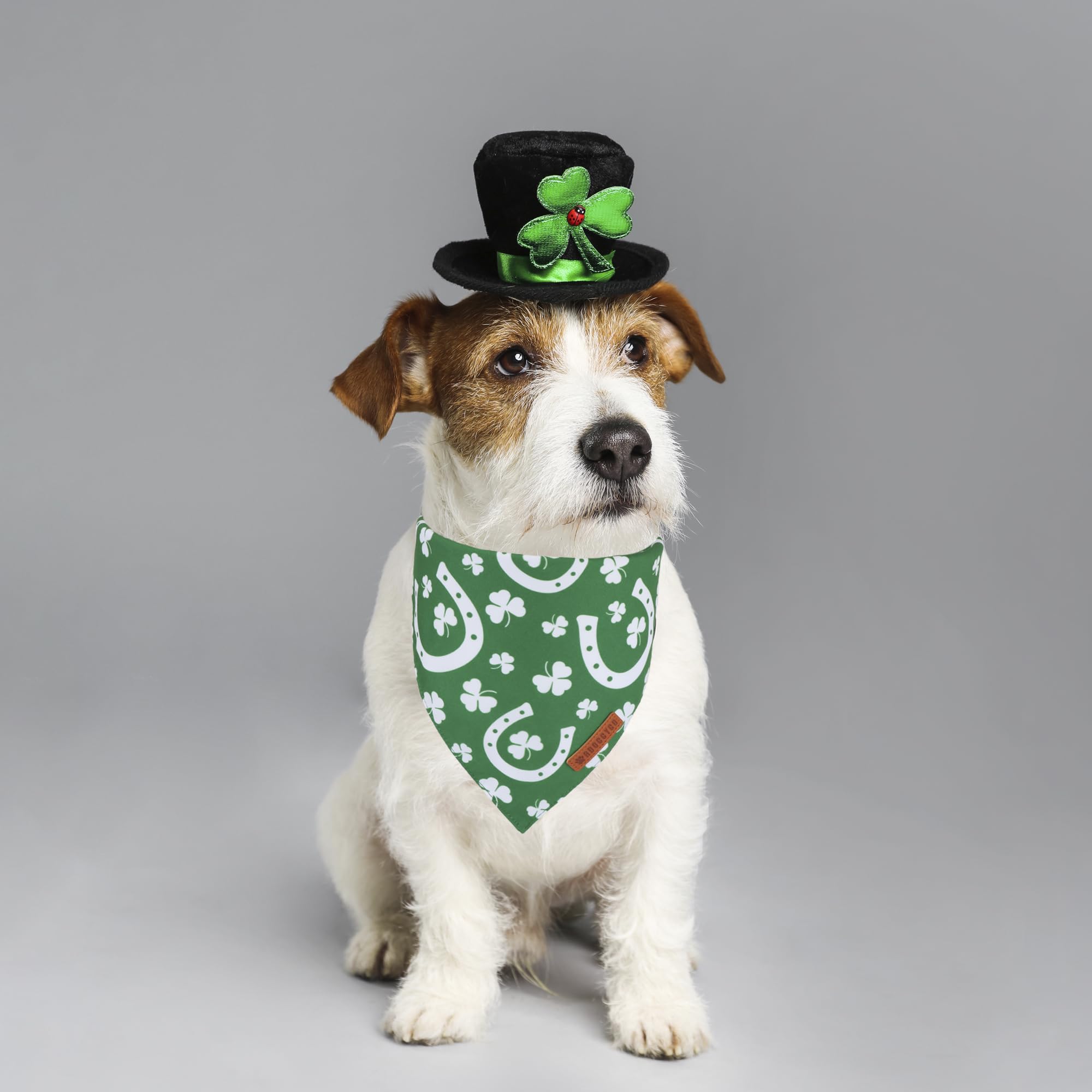 ADOGGYGO Bandana con diseño de trébol verde, perfecto para eventos caninos.