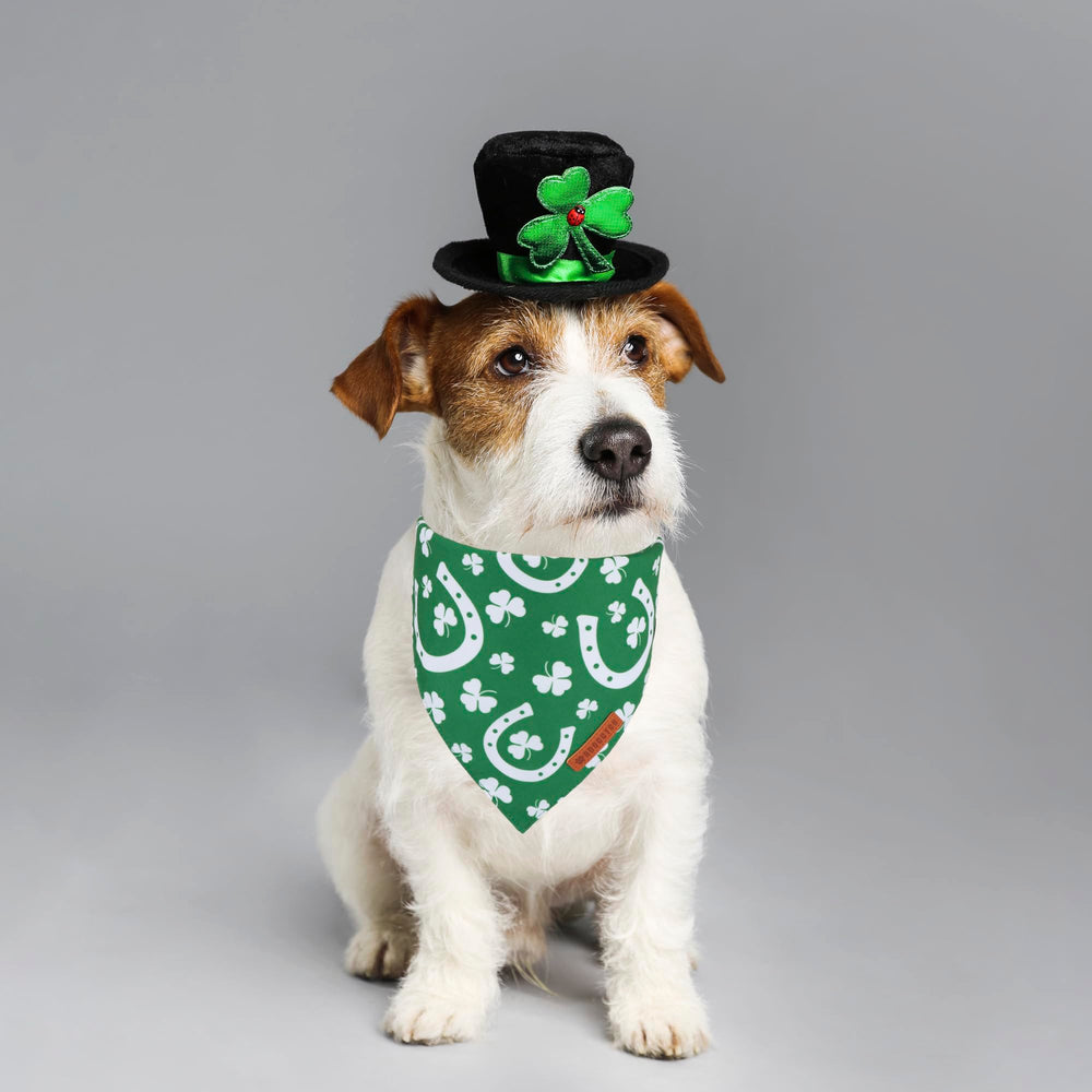 ADOGGYGO Bandana con diseño de trébol verde, perfecto para eventos caninos.