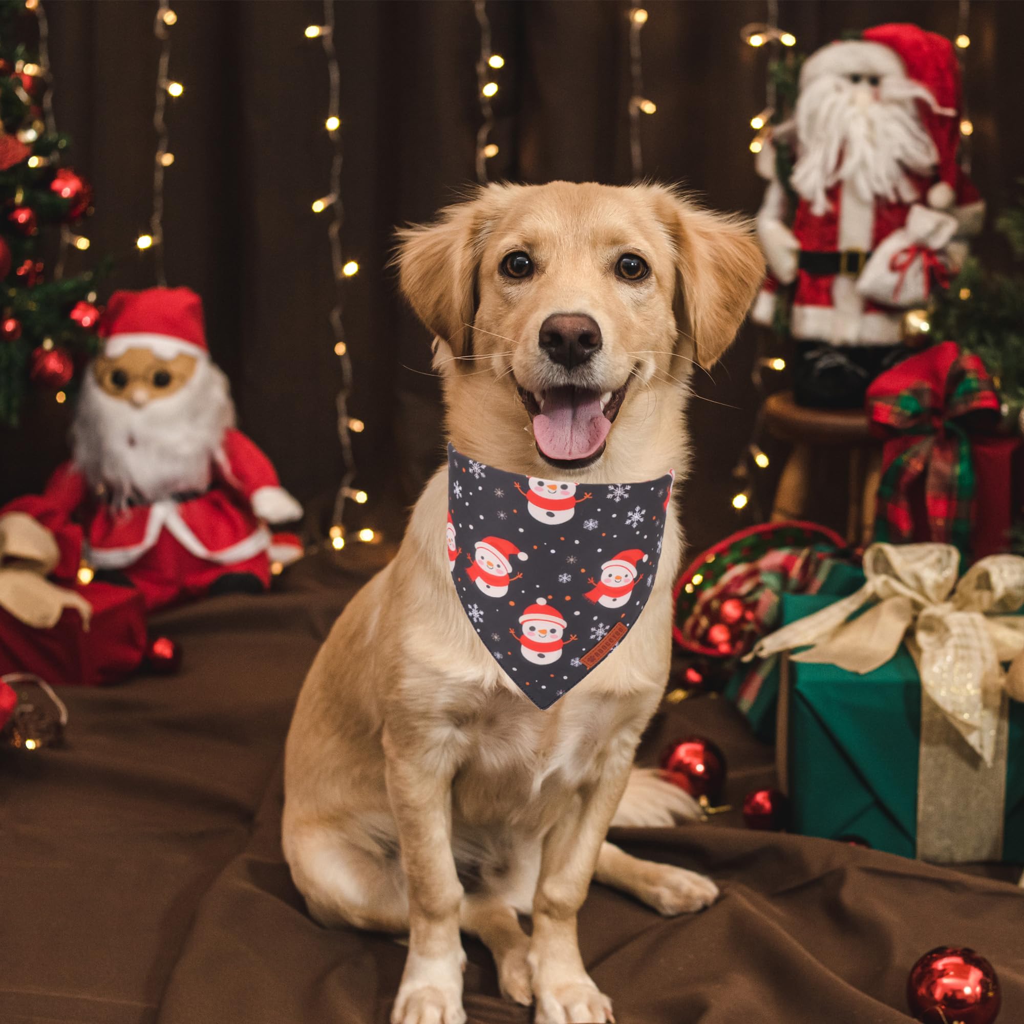 ADOGGYGO bandana de doble capa para perros, duradera y cómoda.