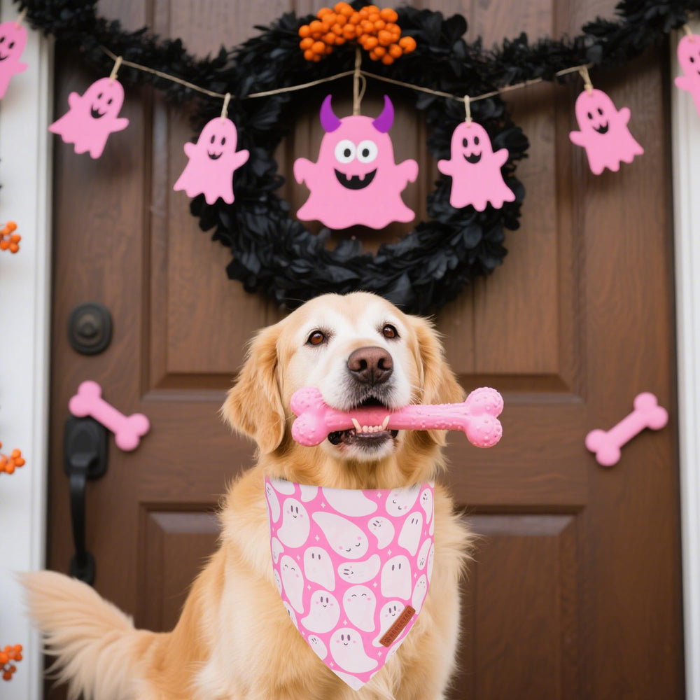 Bandana ADOGGYGO de doble capa rosa, suave poliéster para mayor durabilidad.
