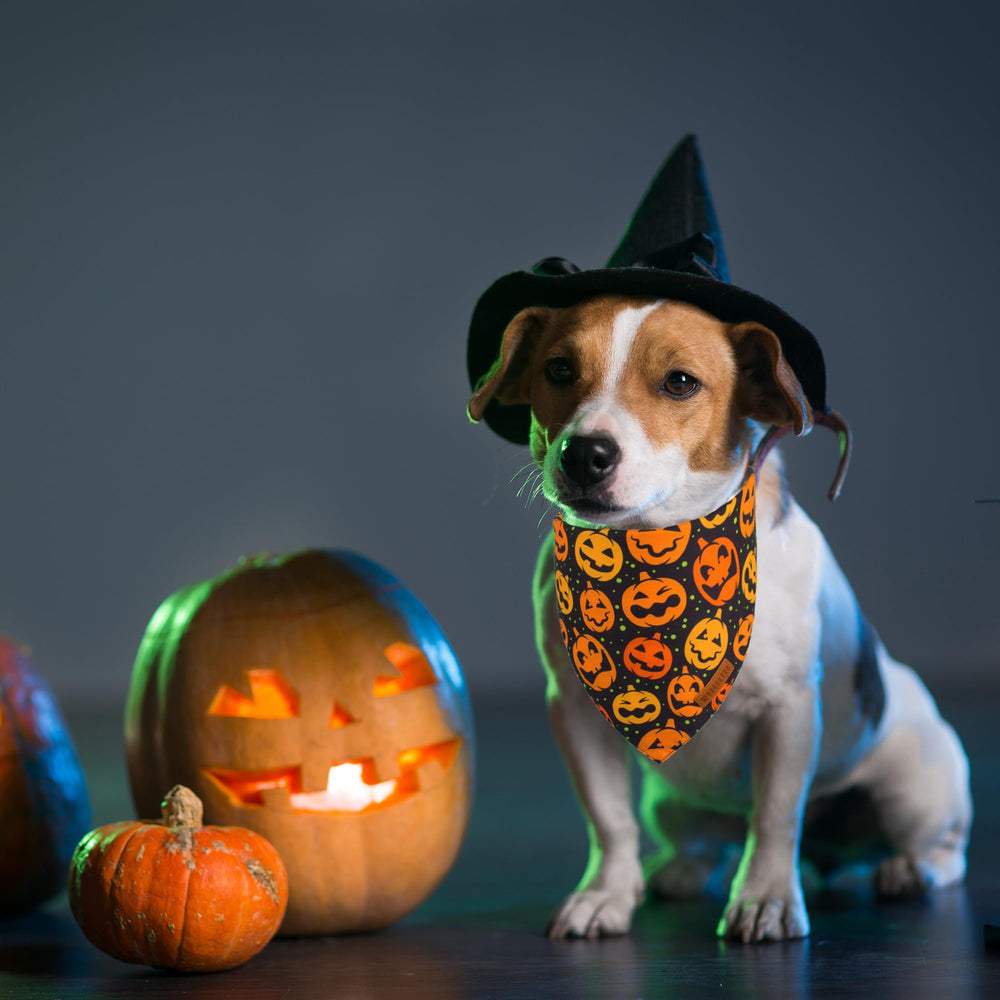 Bandana ADOGGYGO para perros con murciélago naranja, estilo festivo