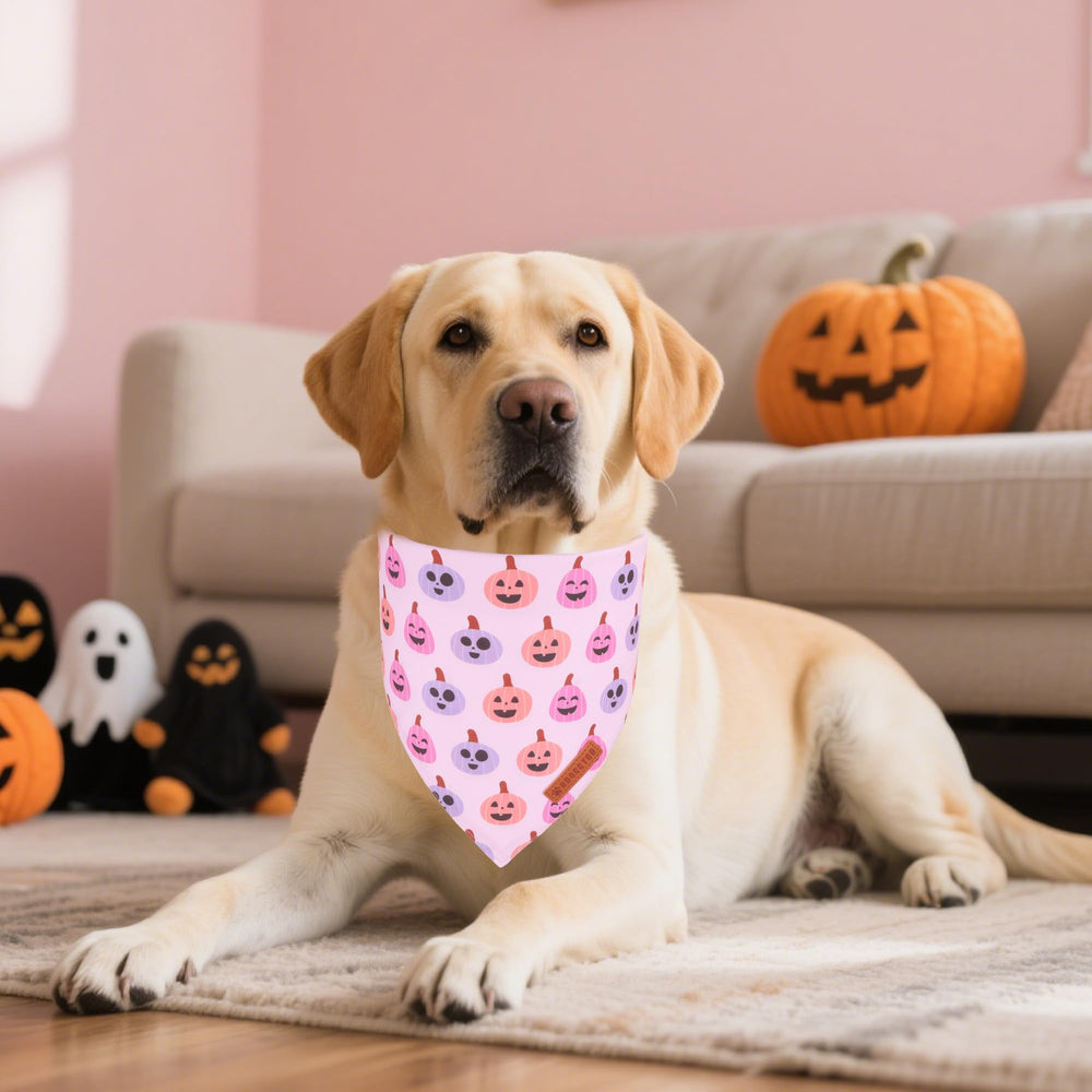Bandana ADOGGYGO rosa con calabaza para perro, perfecta para sesiones de fotos.
