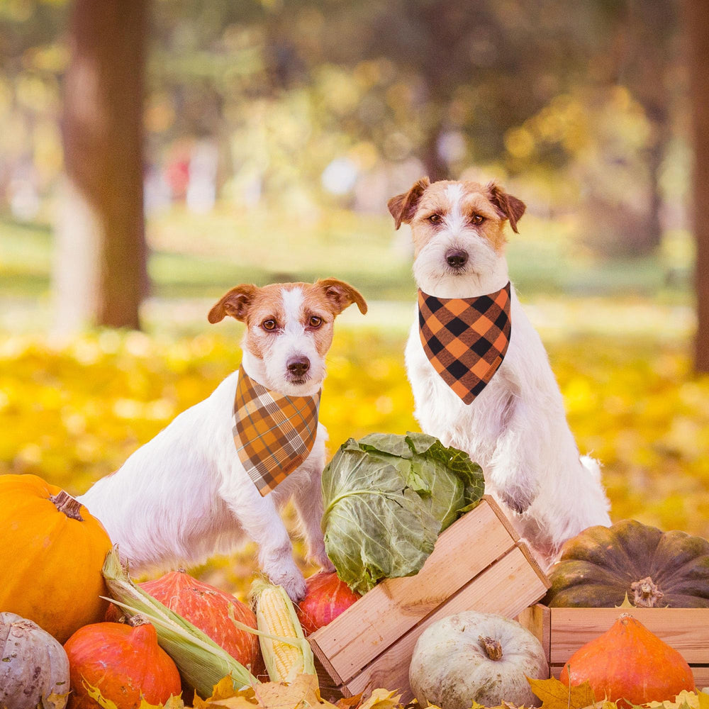 ADOGGYGO bandana naranja cuadros para perro grande, ideal para fotos de otoño