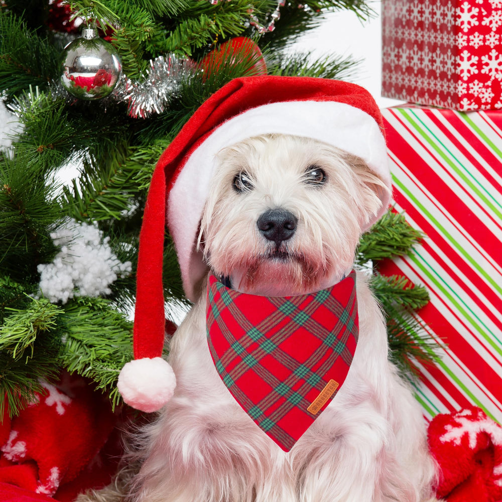 Bandana ADOGGYGO para perro en cuadros verdes, opción fresca para fiestas y eventos.