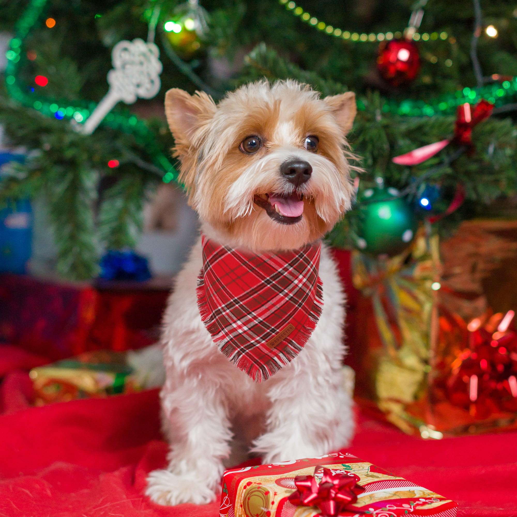 ADOGGYGO bandana navidad de dos capas suaves, confort para paseos festivos