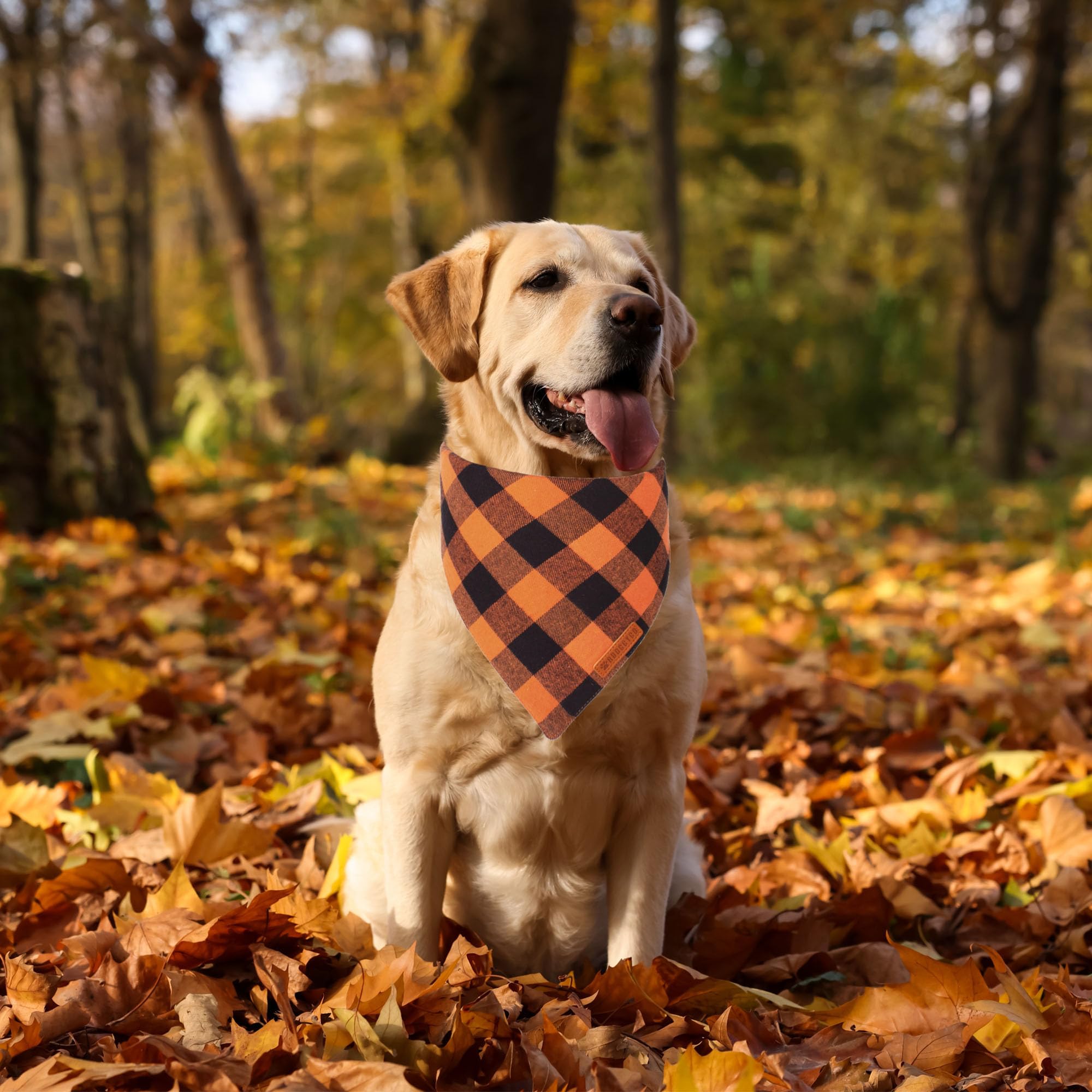 ADOGGYGO bandana para perro, naranja a cuadros, perfecta para Noche de Brujas y Día de Acción de Gracias