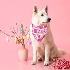 ADOGGYGO Bandana rosa con diseño de zanahoria, ideal para salidas festivas.