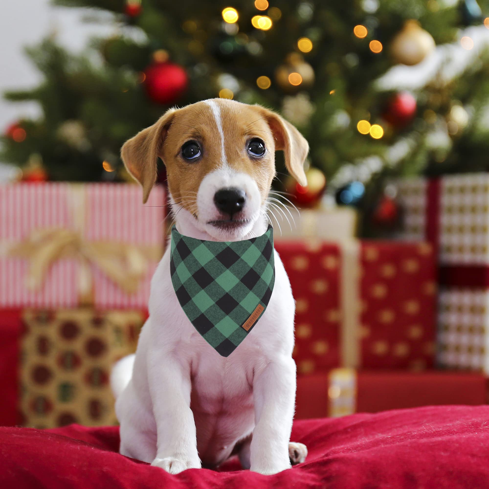 Pañuelo ADOGGYGO para perro pequeño, cómodo para uso diario navideño.
