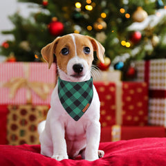 Pañuelo ADOGGYGO para perro pequeño, cómodo para uso diario navideño.
