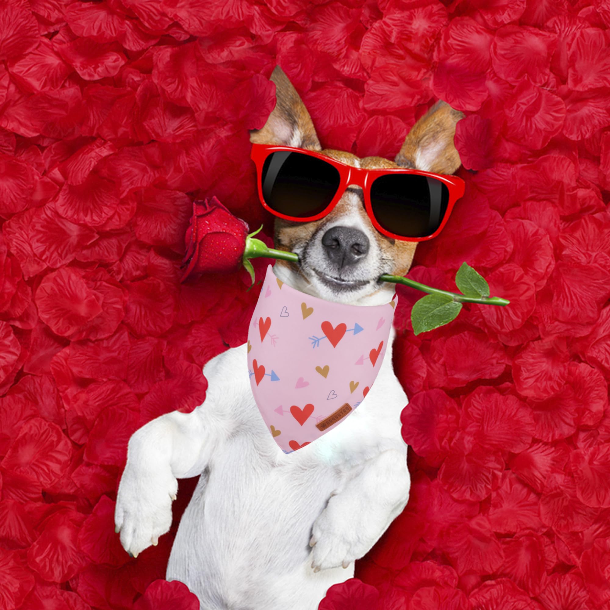 Bandana ADOGGYGO para perro San Valentín rosa, perfecto para sesiones de fotos