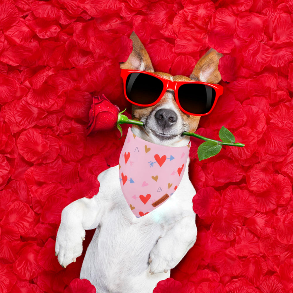 Bandana ADOGGYGO para perro San Valentín rosa, perfecto para sesiones de fotos