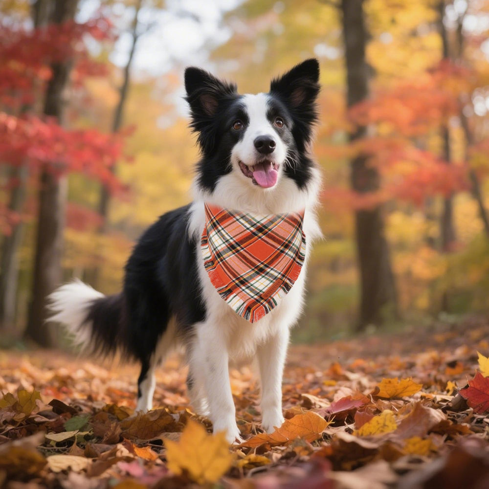 ADOGGYGO bandana para perros grande naranja-cuadros, perfecto para looks festivos.