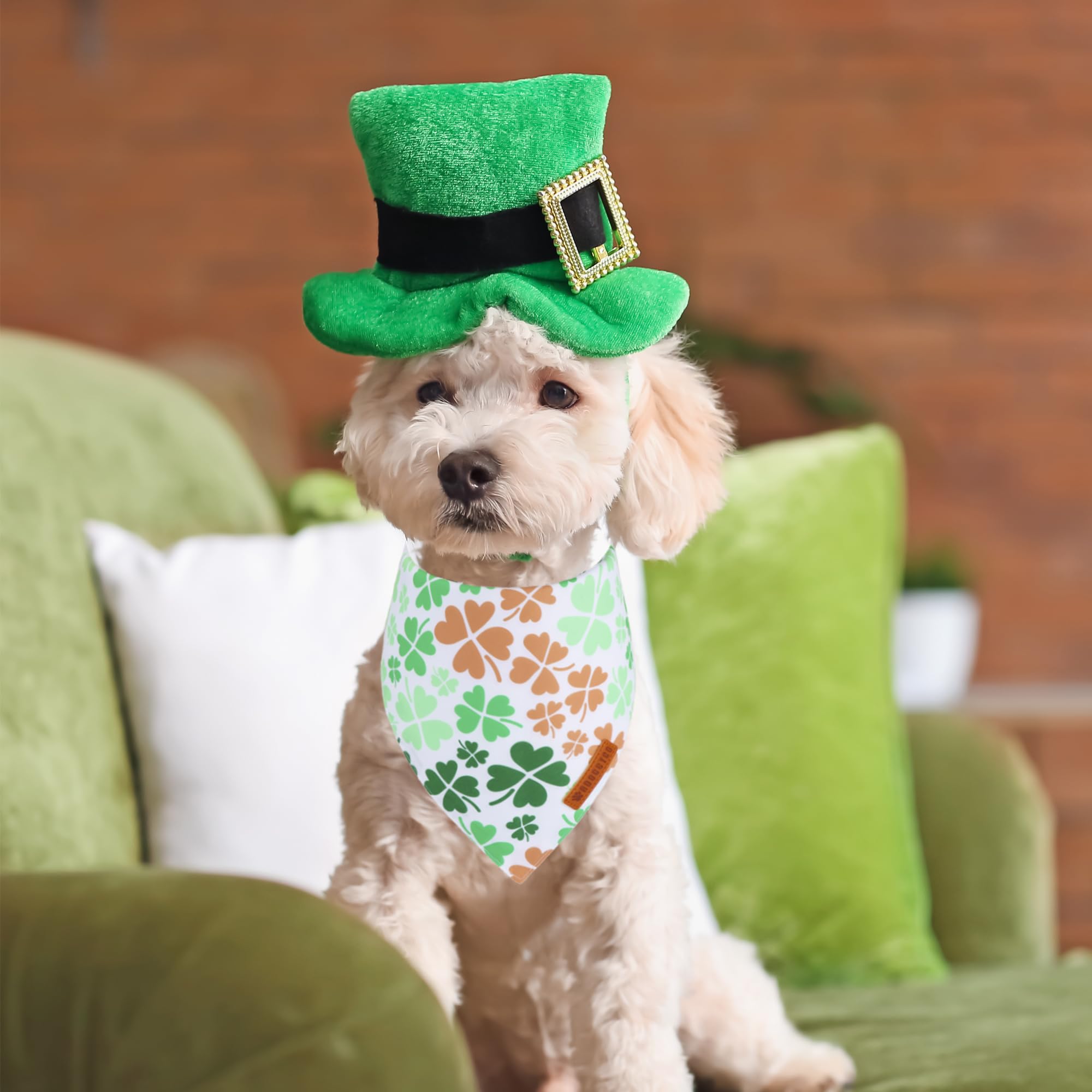 ADOGGYGO Bandana talla pequeña, verde, para cuellos cómodo.