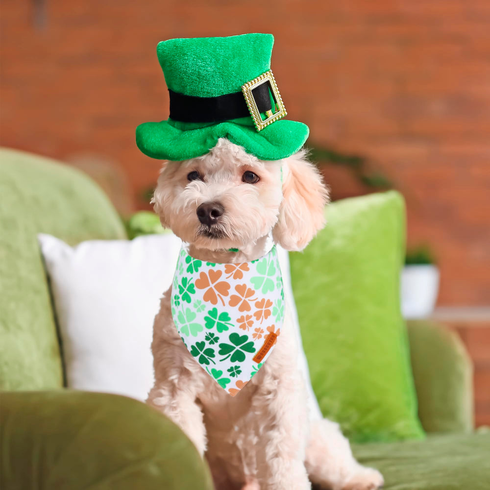 ADOGGYGO Bandana talla pequeña, verde, para cuellos cómodo.