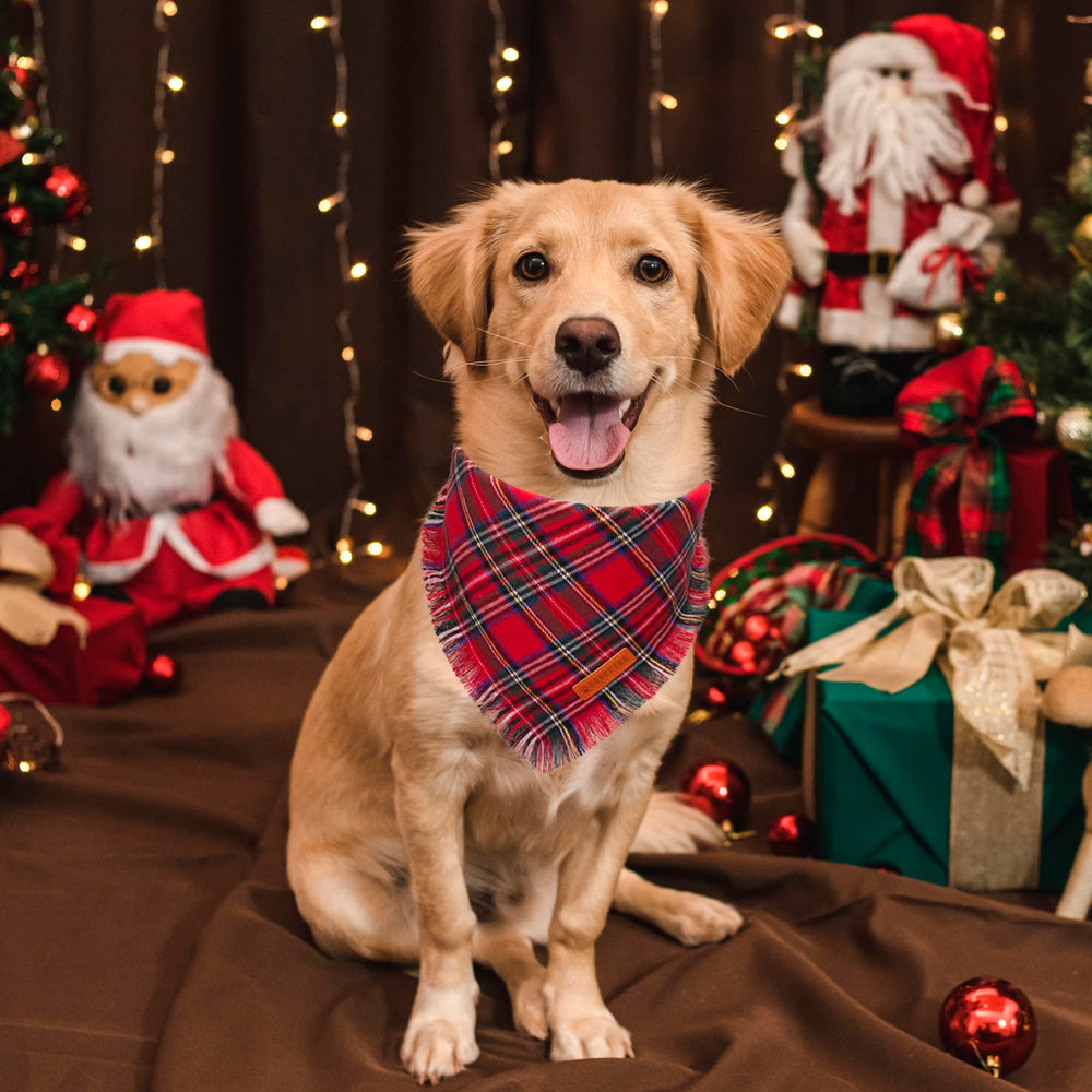 Bandana plaid para perros ADOGGYGO, diseño clásico que realza el estilo diario.