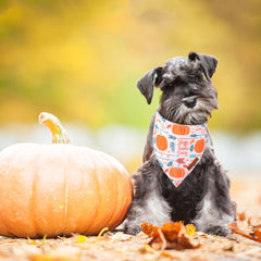 Bandana ADOGGYGO ajustable para cuello cómodo
