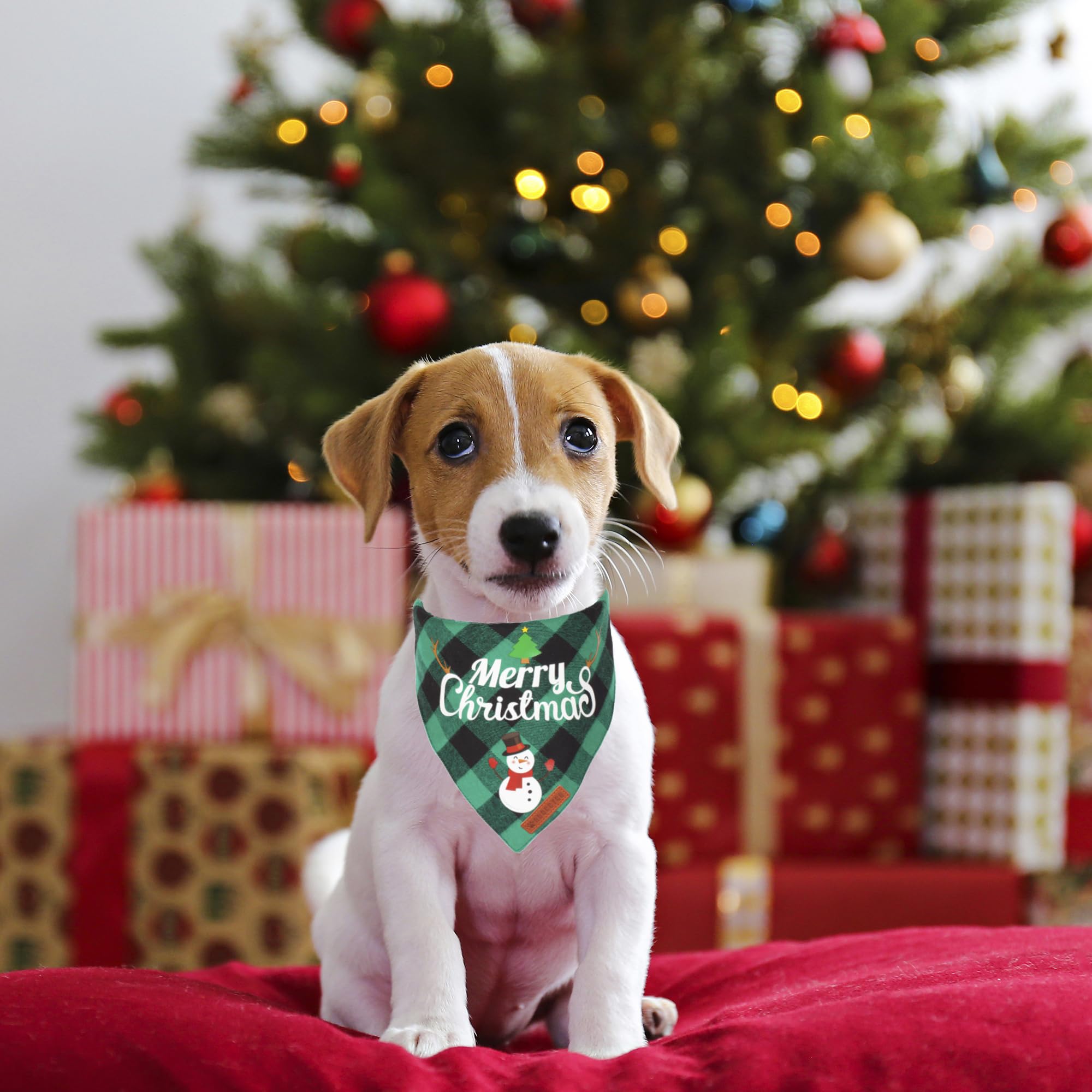 ADOGGYGO bandana navideña pequeña, adecuada para perros y gatos pequeños.