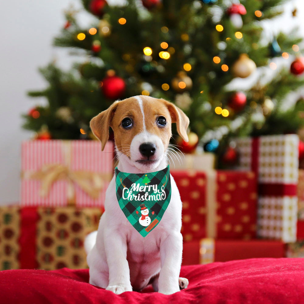 ADOGGYGO bandana navideña pequeña, adecuada para perros y gatos pequeños.