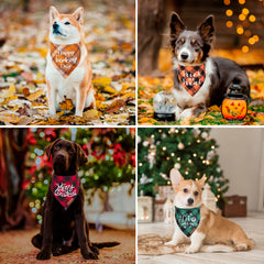 ADOGGYGO bandana temática Acción de Gracias para perros, ideal para sesiones de fotos festivas.