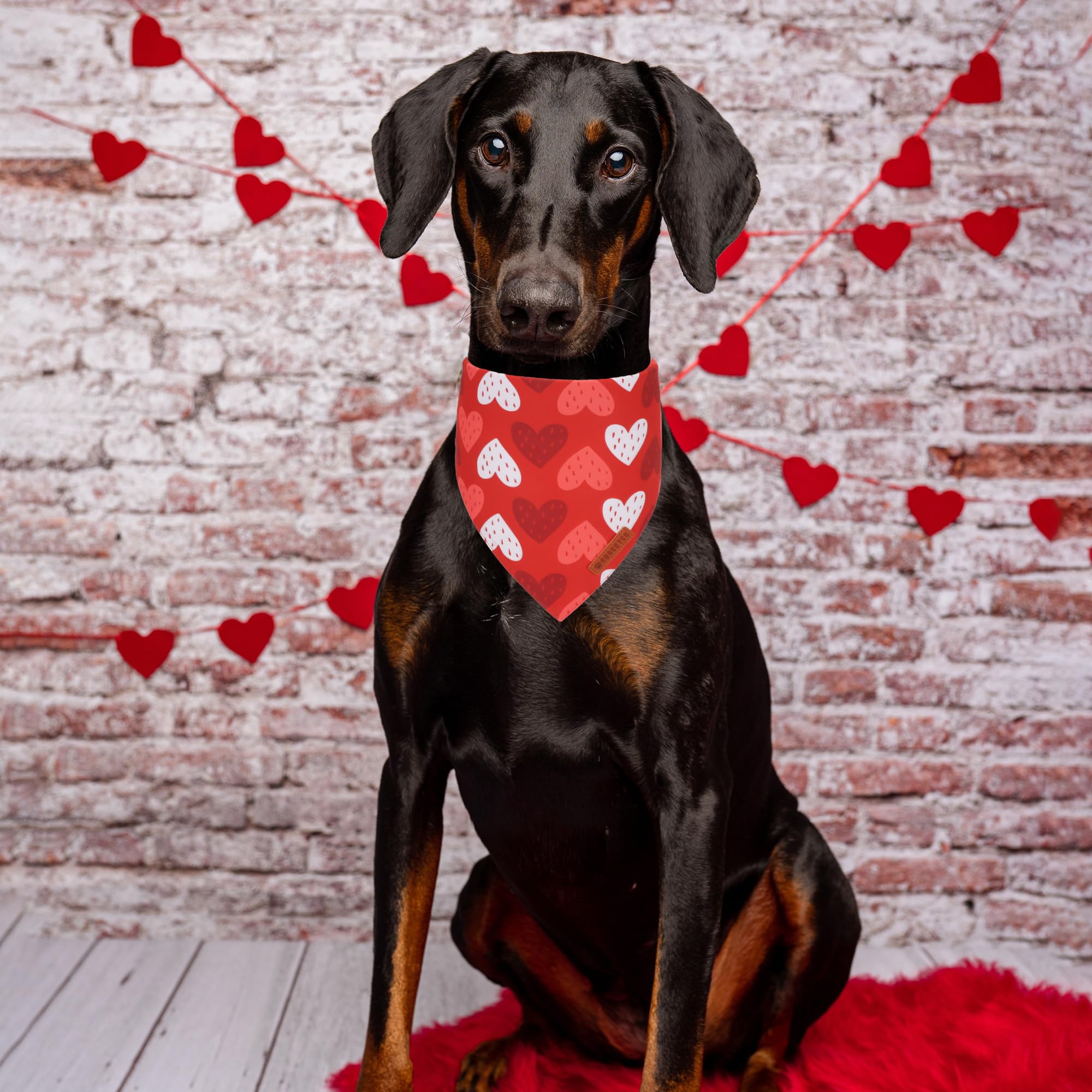 Bandana ADOGGYGO Valentín Corazón Azul, ideal para combinar estilo durante paseos