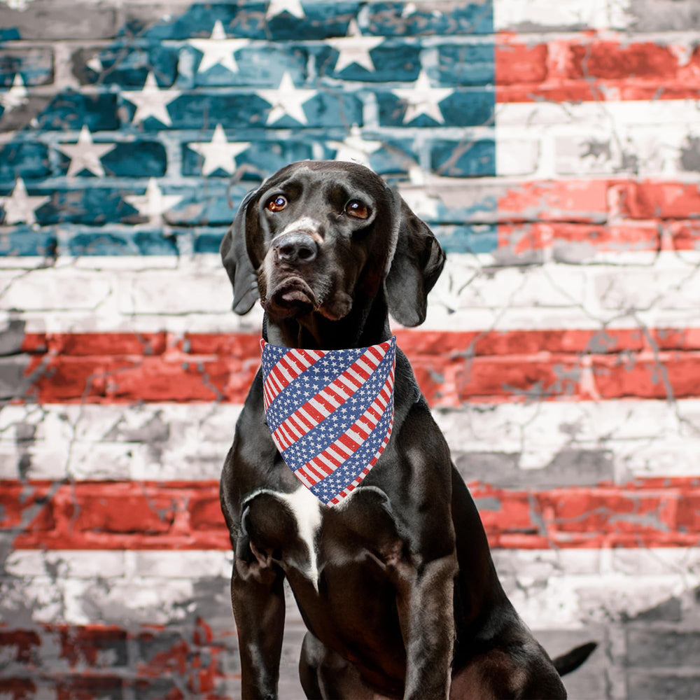 ADOGGYGO bandana diseño estrellas y rayas, perfecta para looks patrioticos.