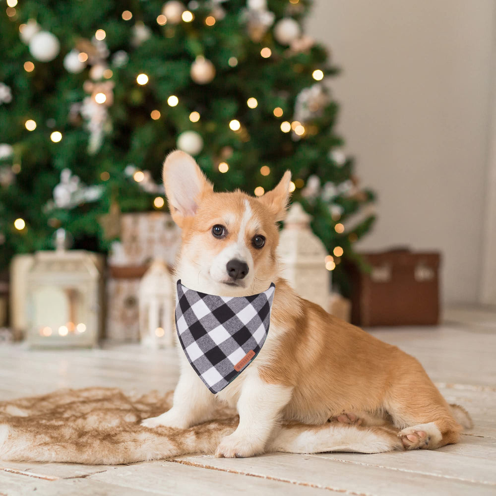 Bandanas en tallas mediana y grande, ADOGGYGO, ajuste cómodo para perros.