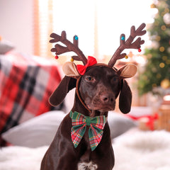 ADOGGYGO cierre seguro y hebilla duradera para collar navideño.