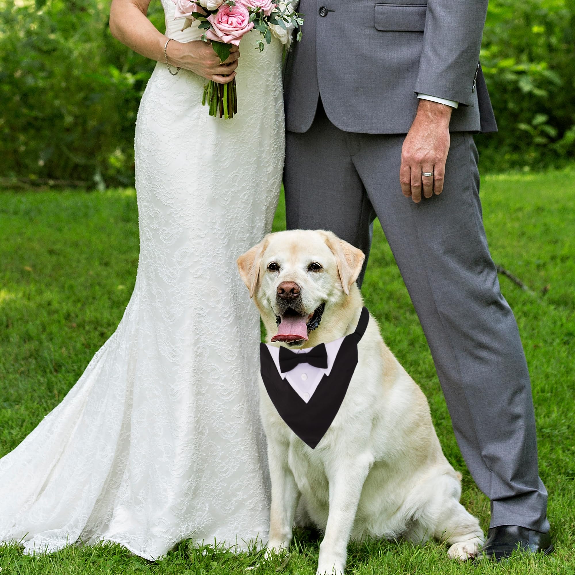 ADOGGYGO collar boda para perros con lazo ajustable, fácil de poner.