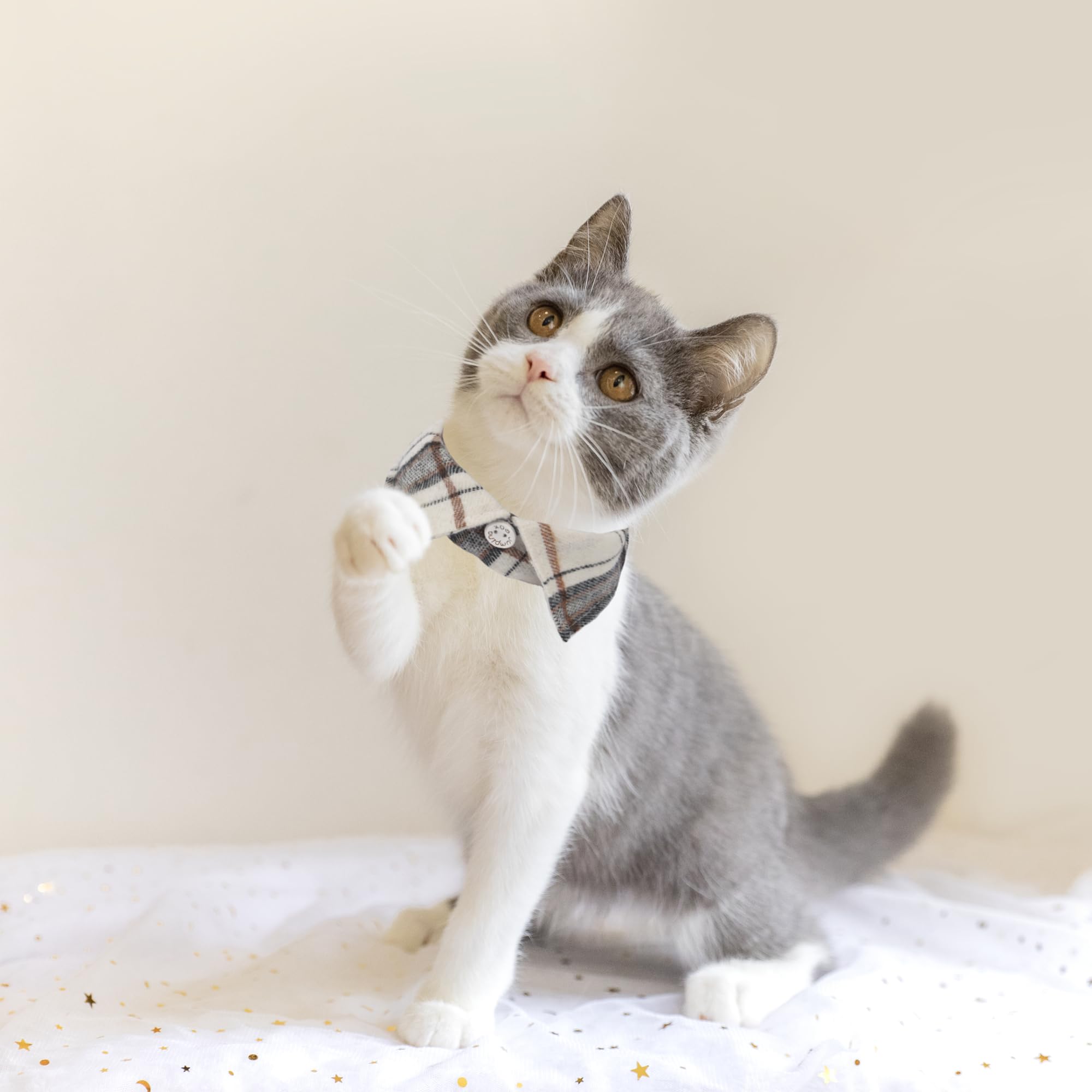 ADOGGYGO collar-cuadros-azul-con-lazo, estilo encantador y seguro para gatos.