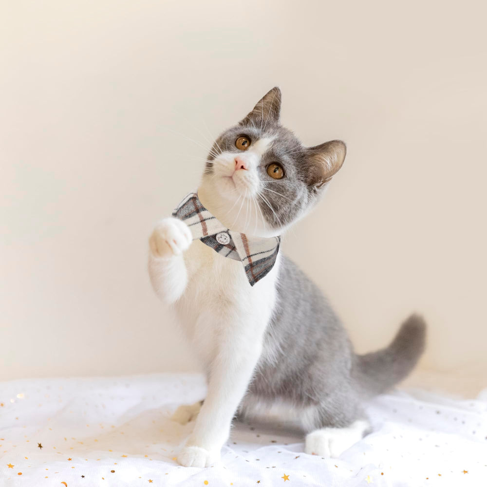 ADOGGYGO collar-cuadros-azul-con-lazo, estilo encantador y seguro para gatos.