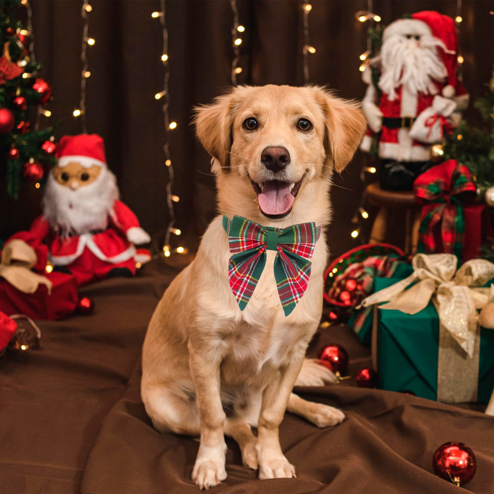 ADOGGYGO collar navideño ajustable para perros, comodidad en diferentes tamaños.