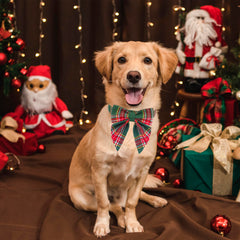 ADOGGYGO collar navideño ajustable para perros, comodidad en diferentes tamaños.