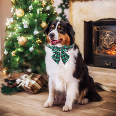 ADOGGYGO collar navideño con cierre plástico seguro y fácil de usar