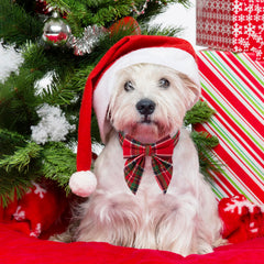 ADOGGYGO collar navideño con lazo removible, ajuste cómodo para fotos.