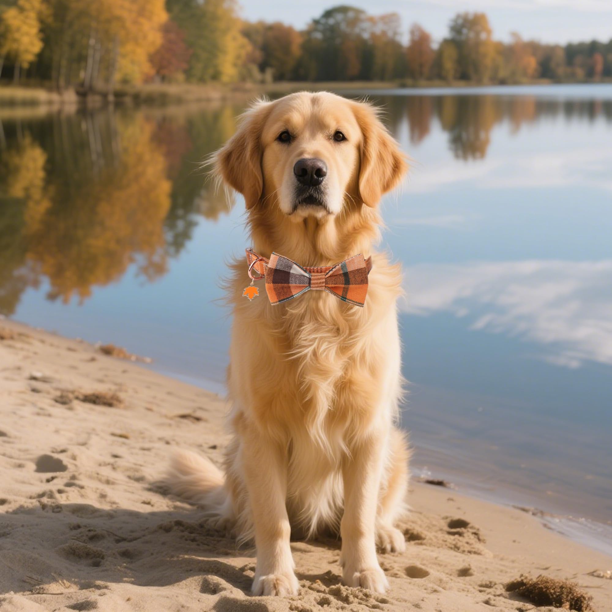 ADOGGYGO collar de cuadros naranja, diseño cálido para salidas diarias.