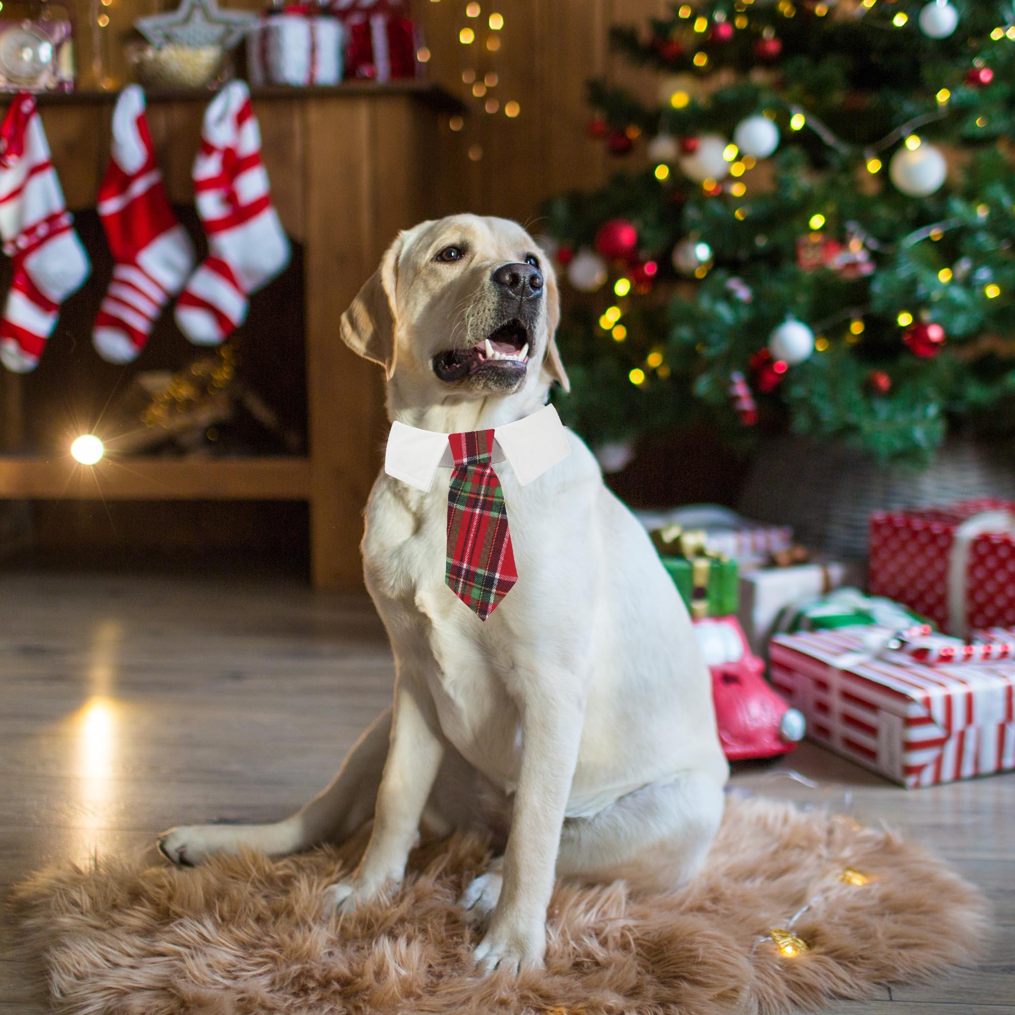 ADOGGYGO corbatín navidad para perro, diseño a cuadros rojos y verdes, perfecto para ocasiones festivas.
