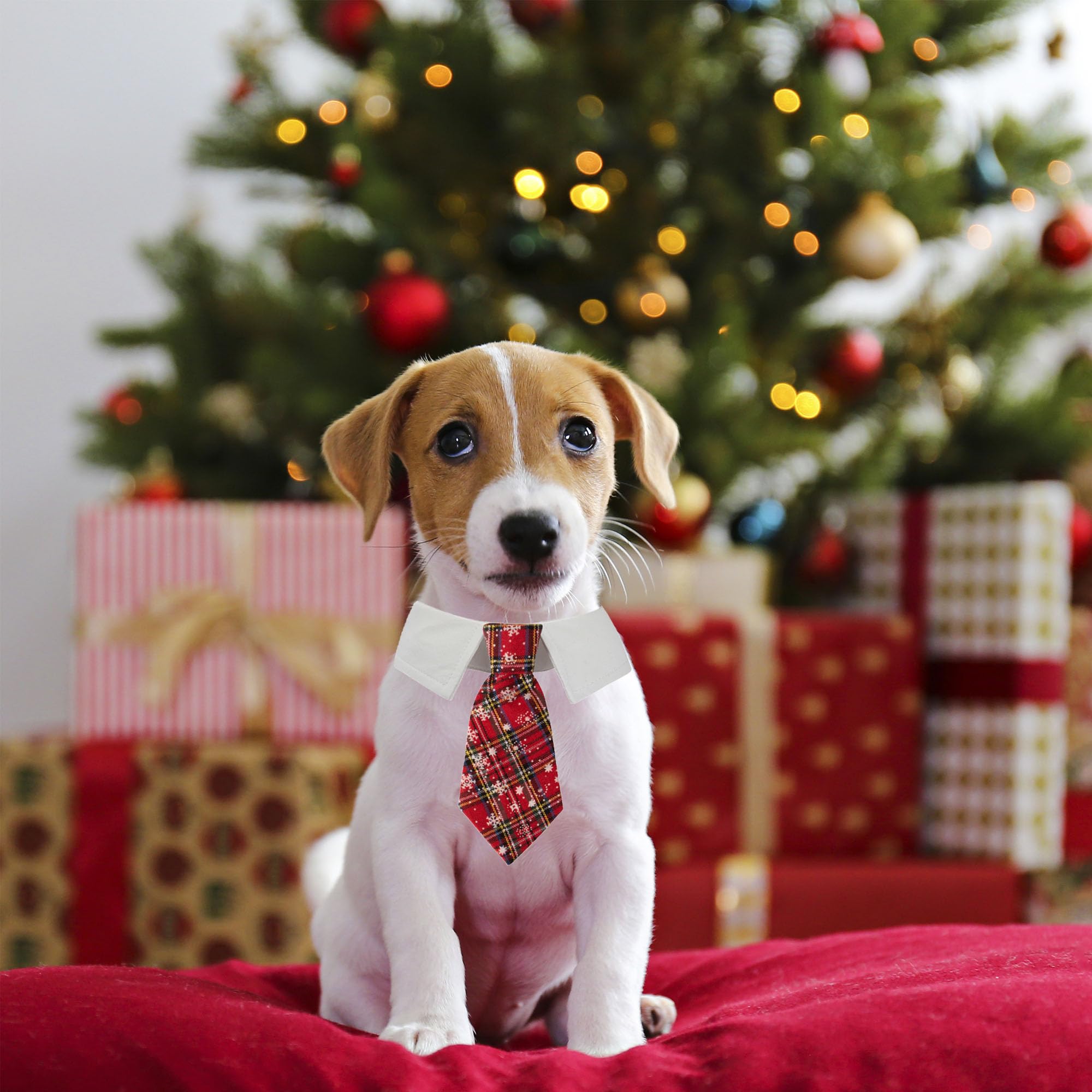 ADOGGYGO corbatín navidad para perro rojo a cuadros, ajuste cómodo y seguro